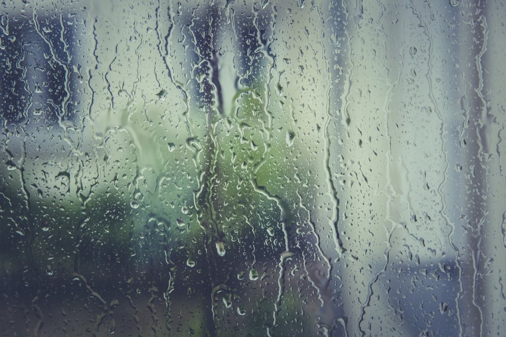 冬や雨の日だけでなく夏も 車の窓ガラスが曇る理由や対策 お得に軽自動車